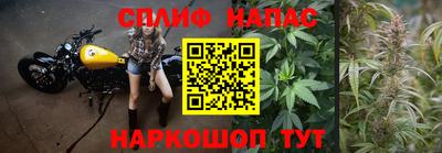 метадон Кингисепп