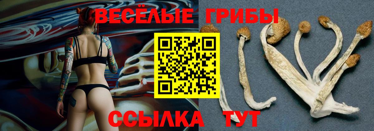 Псилоцибиновые грибы Magic Shrooms  Вход с VPN  Кудрово 
